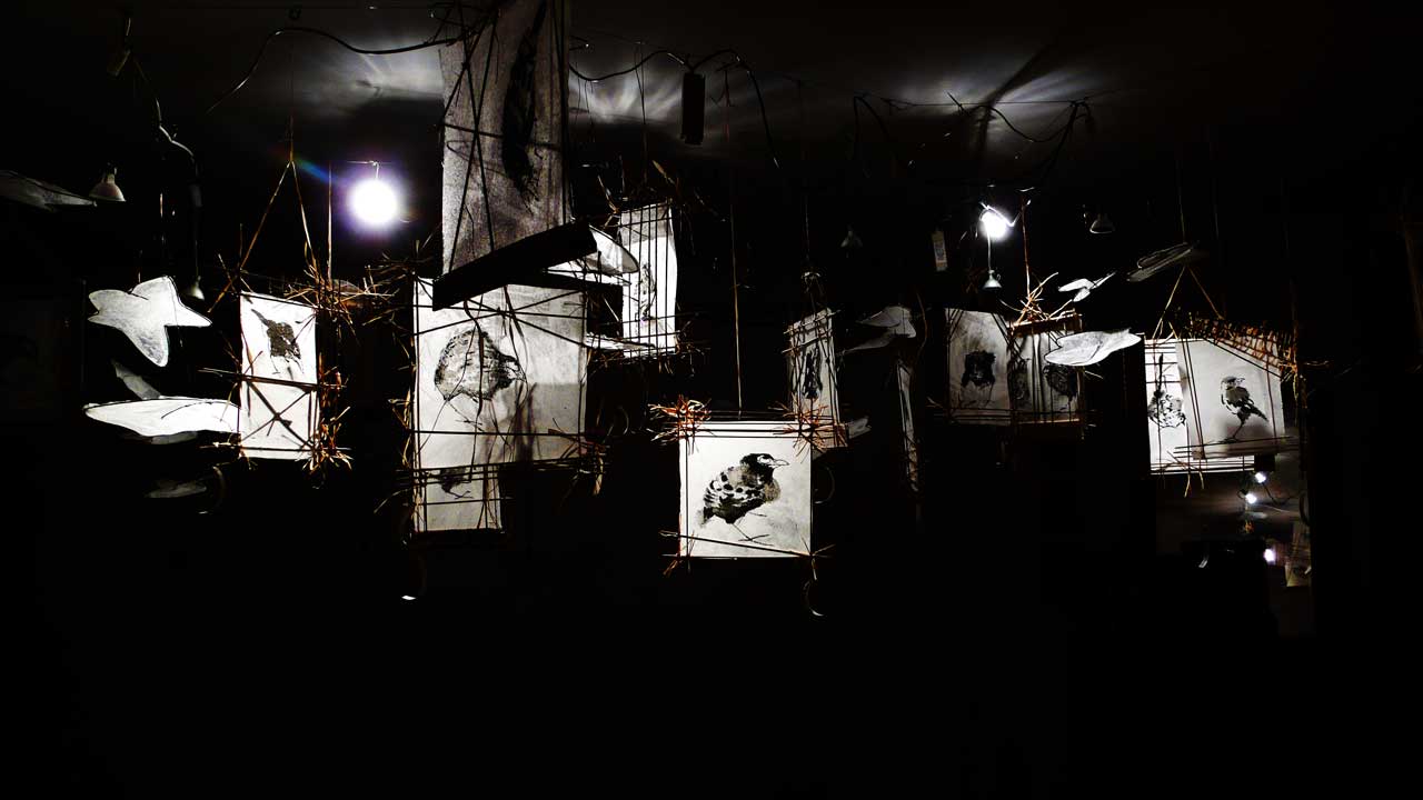 Les oiseaux / The birds